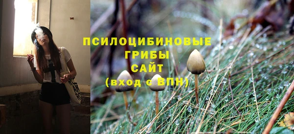 не бодяженный Няндома