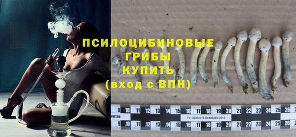 не бодяженный Няндома