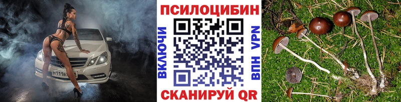 Псилоцибиновые грибы MAGIC MUSHROOMS  Нестеровская 